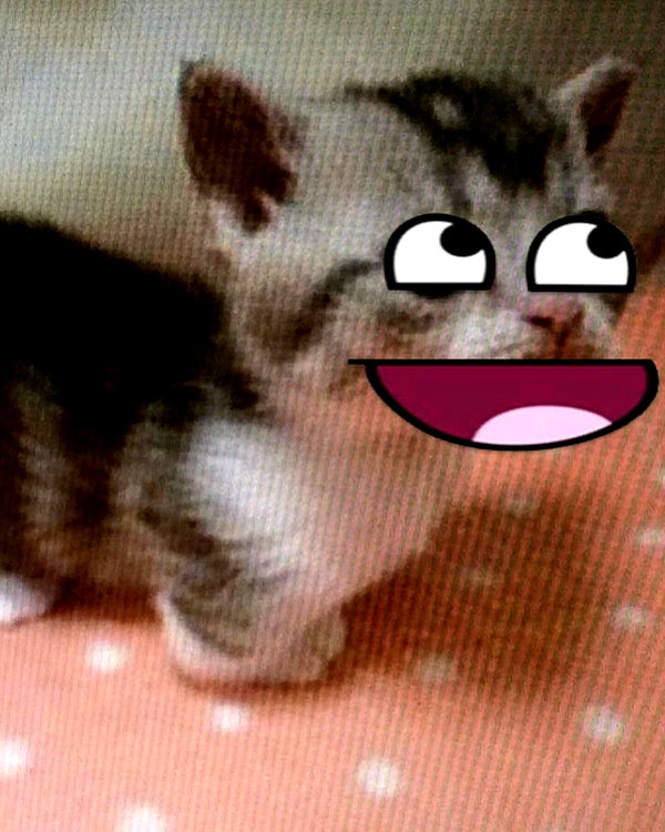 swag_charhar instagram image archive image