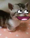 swag_charhar Altpins Profile Picture