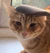 swag_charhar Altpins Profile Picture