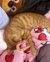 swag_charhar Altpins Profile Picture