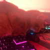 swag_charhar Altpins Profile Picture