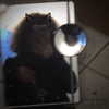 sxraya777 Altpins Profile Picture