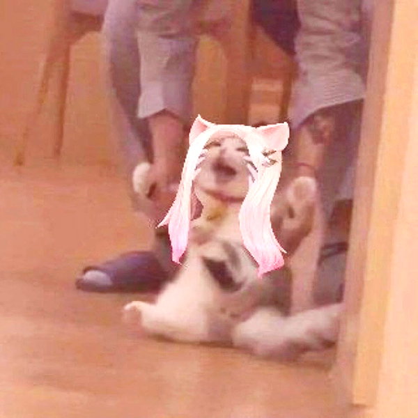 sxraya777 instagram image archive image