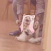 sxraya777 Altpins Profile Picture