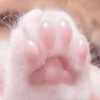 sxraya777 Altpins Profile Picture