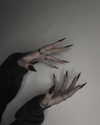 sydarim Altpins Profile Picture