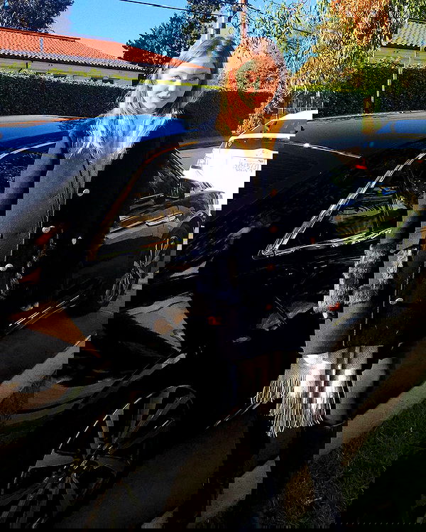 sydney_sweeney image ~ Altpins