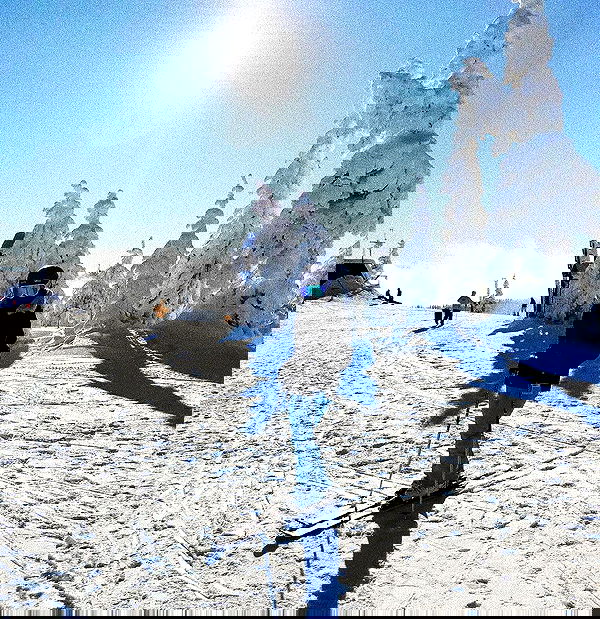 sydney_sweeney image ~ Altpins