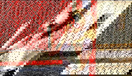 sydney_sweeney image ~ Altpins