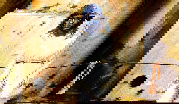 sydney_sweeney image ~ Altpins