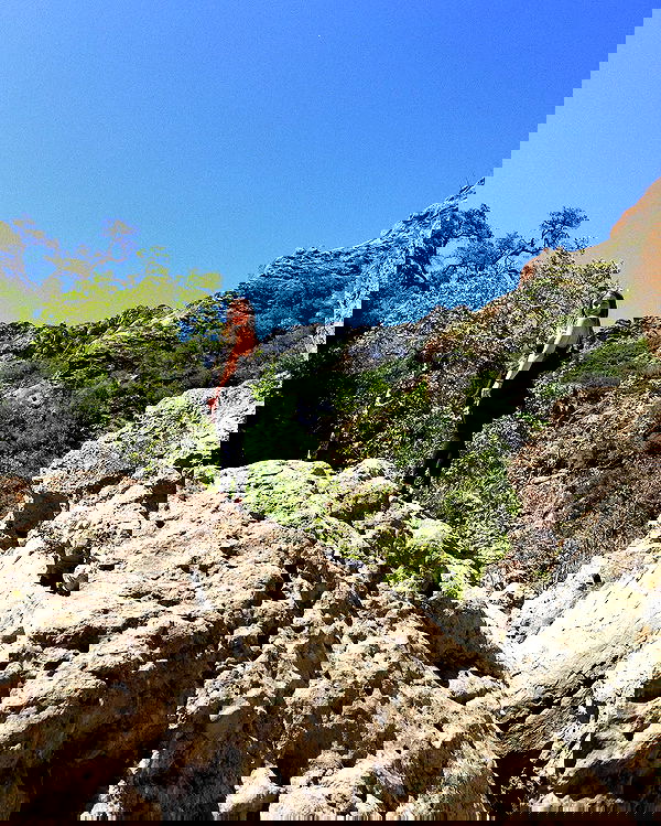 sydney_sweeney image ~ Altpins