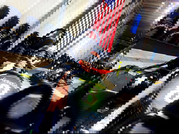 sydney_sweeney image ~ Altpins