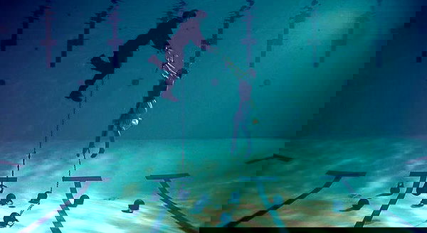 sydney_sweeney image ~ Altpins