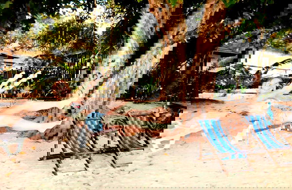 sydney_sweeney image ~ Altpins