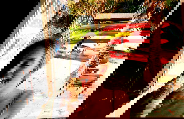 sydney_sweeney image ~ Altpins