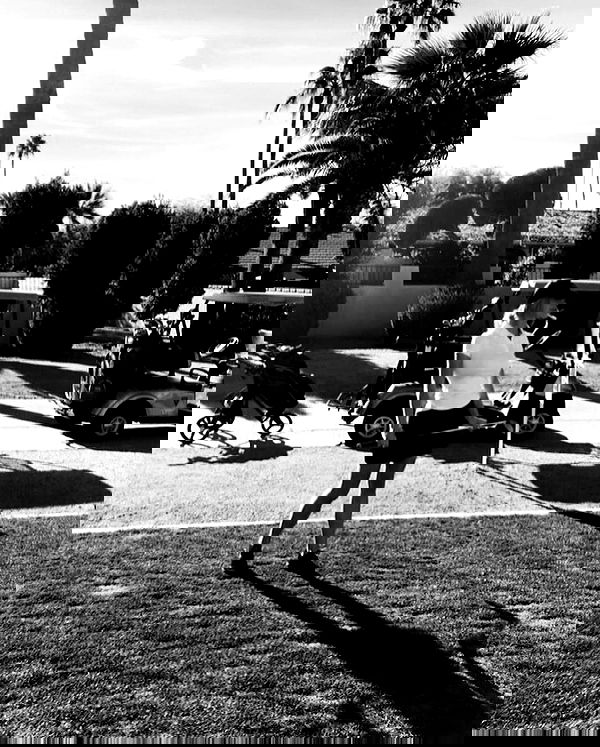 sydney_sweeney image ~ Altpins