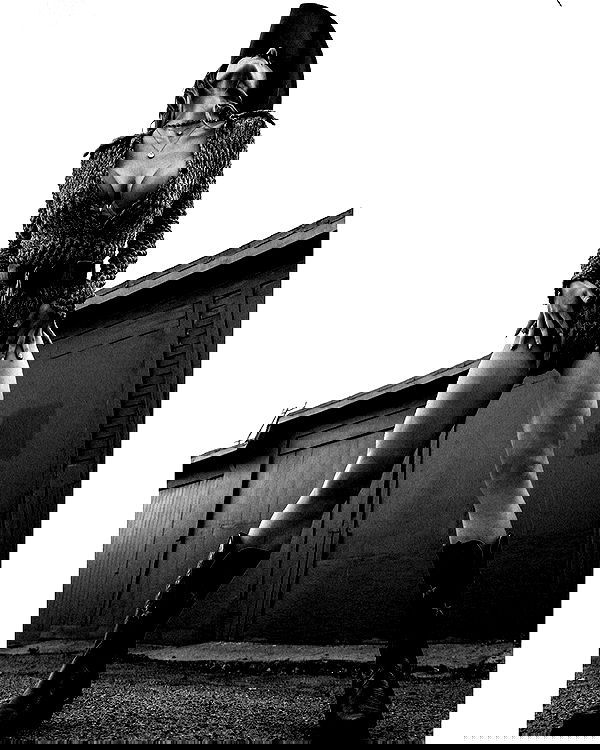 sydney_sweeney image ~ Altpins