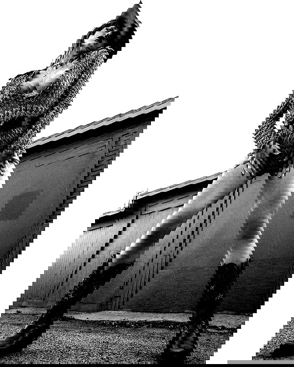 sydney_sweeney image ~ Altpins