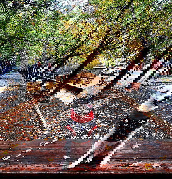 sydney_sweeney image ~ Altpins