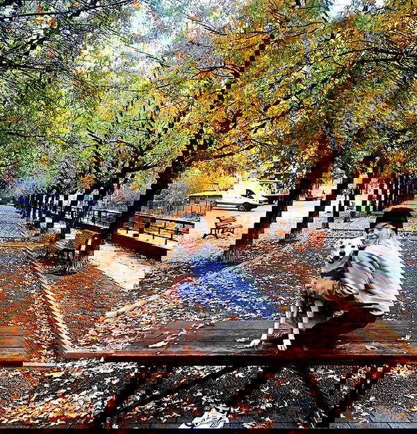 sydney_sweeney image ~ Altpins