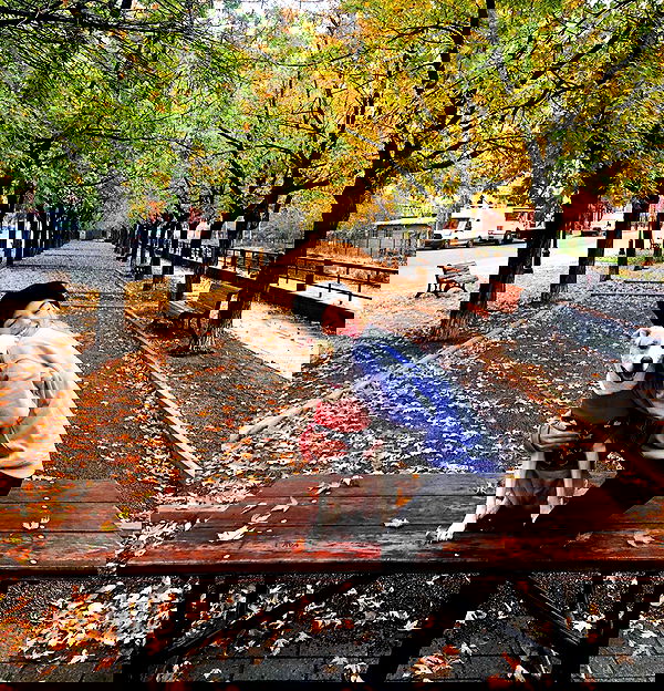 sydney_sweeney image ~ Altpins