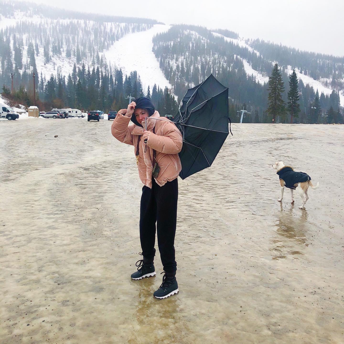 sydney_sweeney instagram image archive image