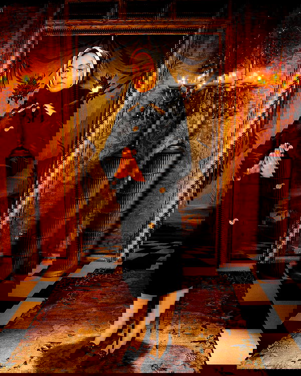 sydney_sweeney image ~ Altpins