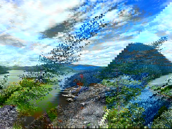 sydney_sweeney image ~ Altpins