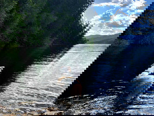 sydney_sweeney image ~ Altpins