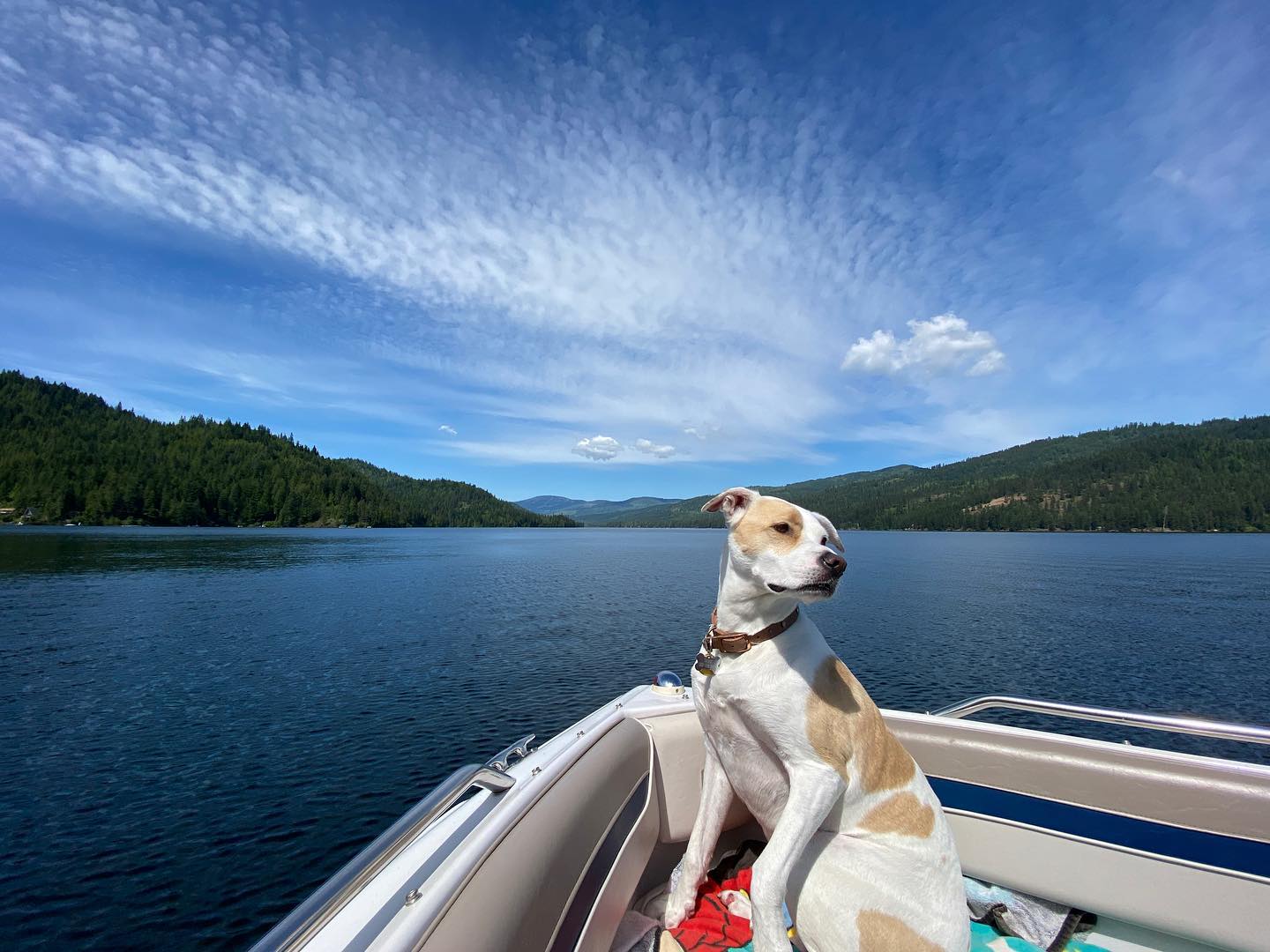 sydney_sweeney instagram image archive image