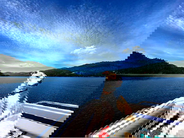 sydney_sweeney image ~ Altpins