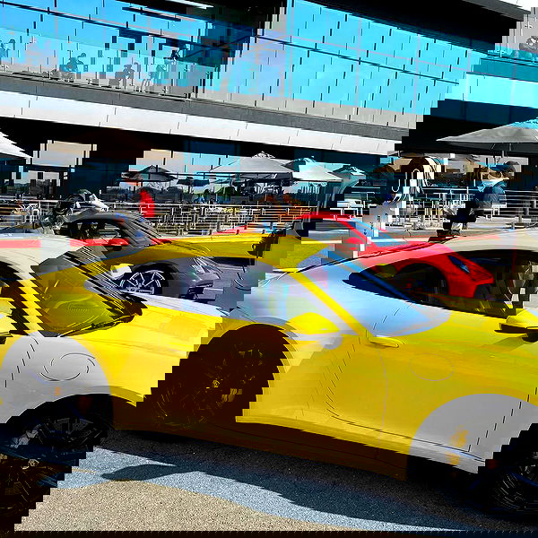 sydney_sweeney image ~ Altpins