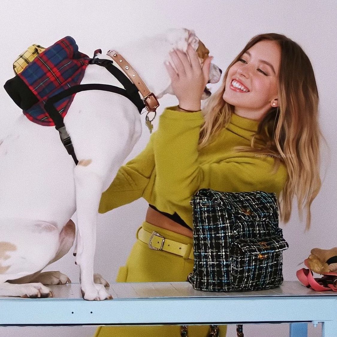 sydney_sweeney instagram image archive image