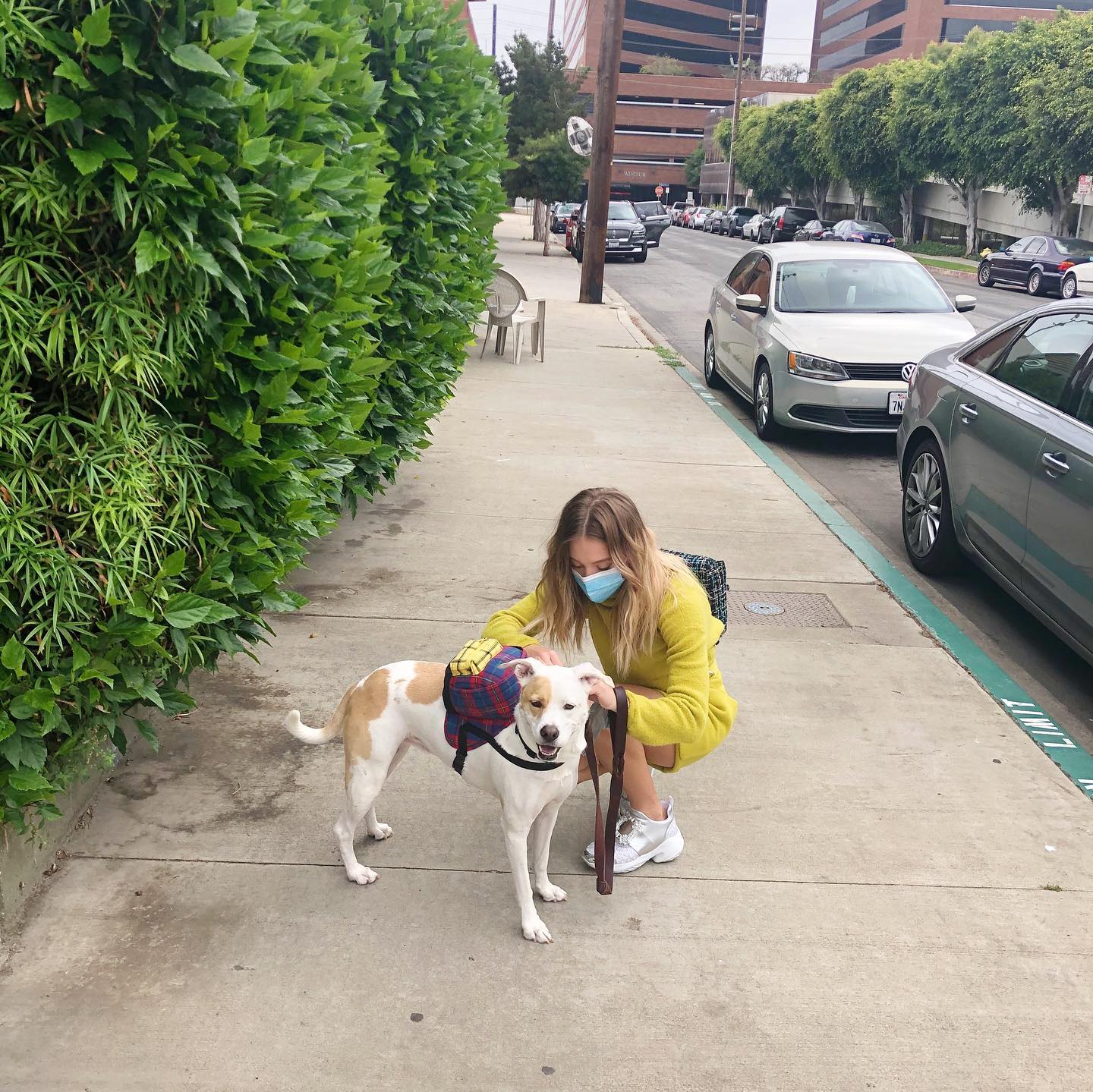 sydney_sweeney instagram image archive image