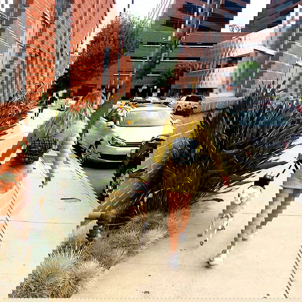 sydney_sweeney image ~ Altpins