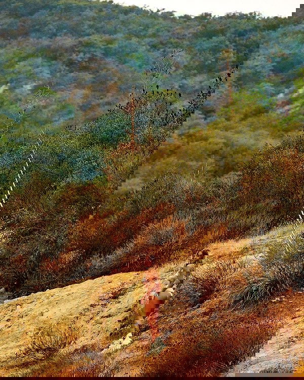 sydney_sweeney image ~ Altpins