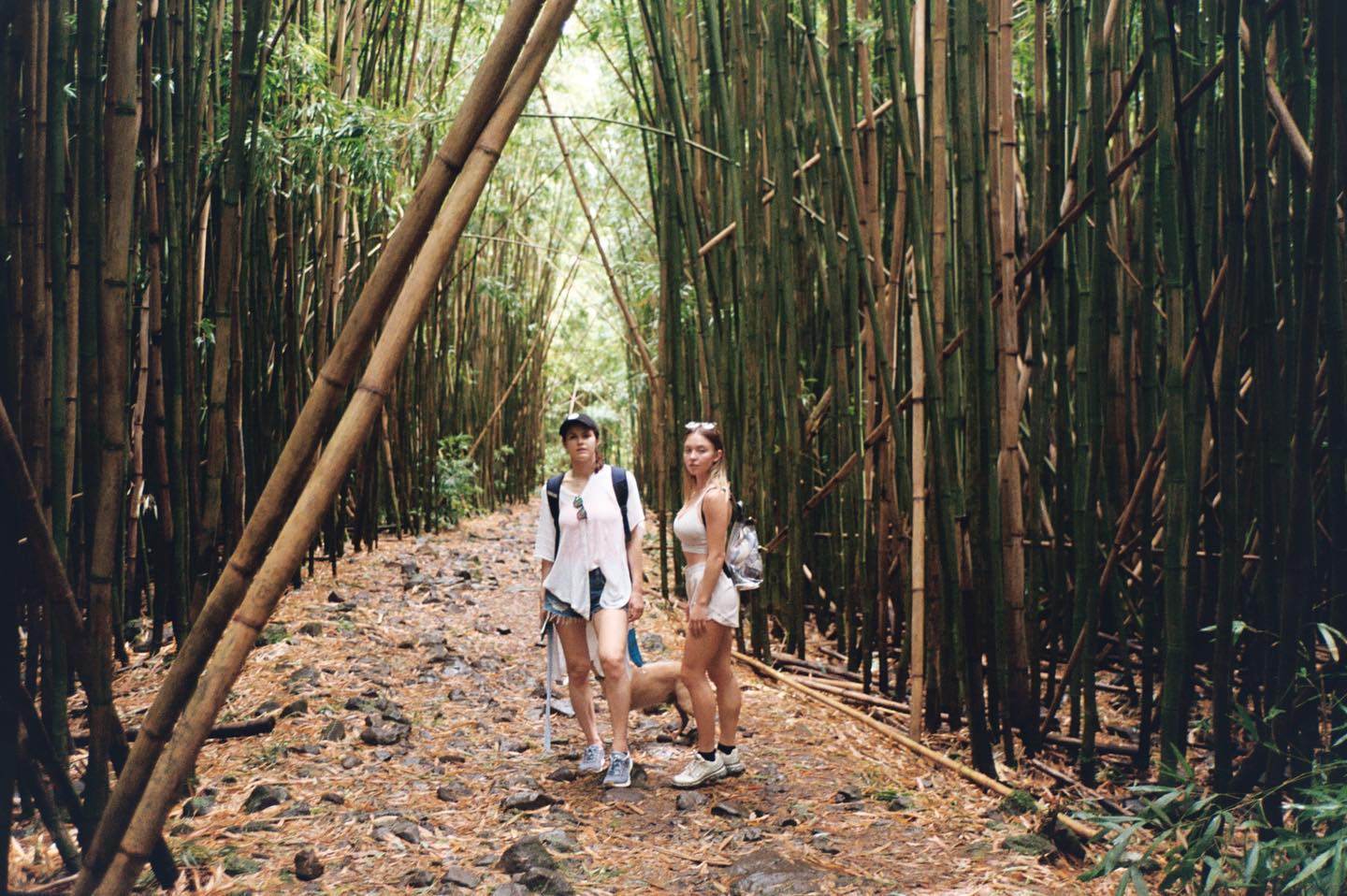 sydney_sweeney instagram image archive image