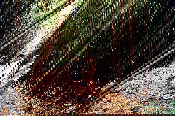 sydney_sweeney image ~ Altpins