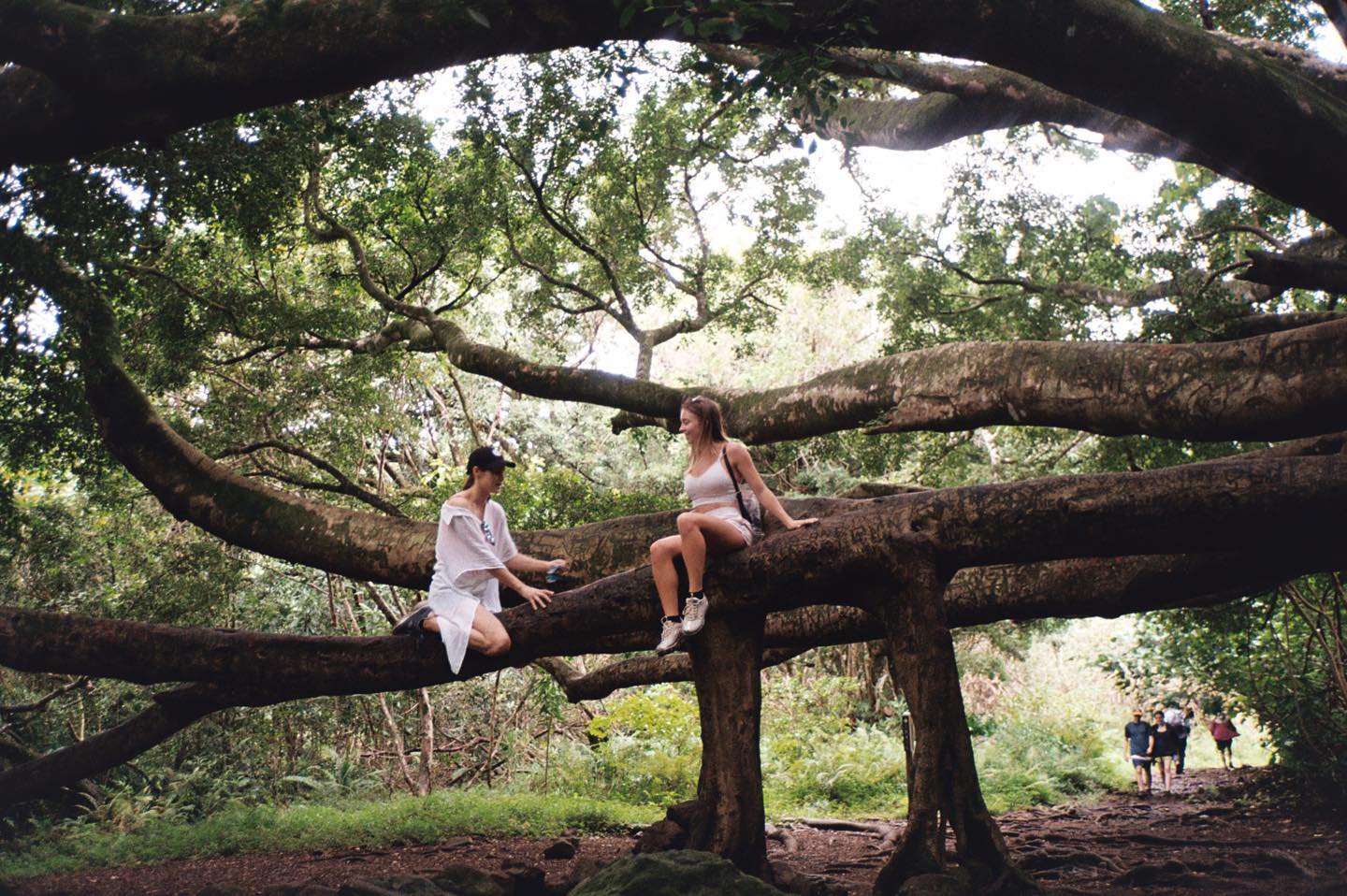 sydney_sweeney instagram image archive image