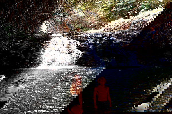 sydney_sweeney image ~ Altpins