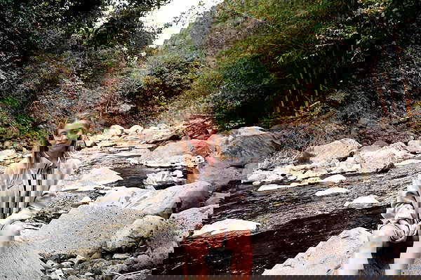 sydney_sweeney image ~ Altpins