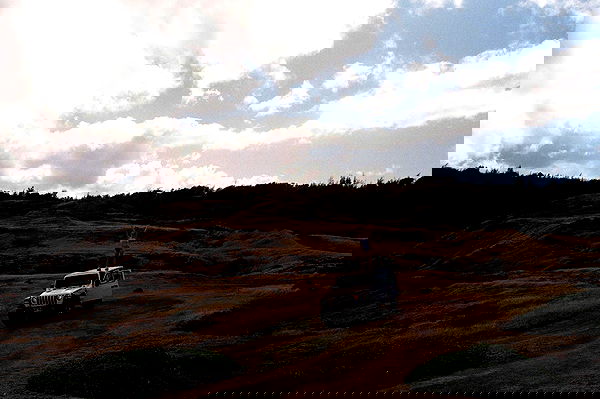 sydney_sweeney image ~ Altpins