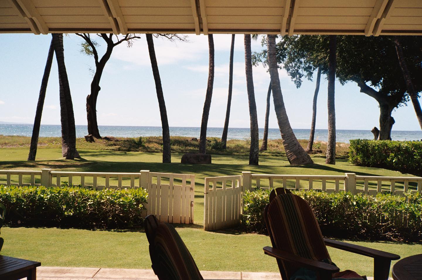 sydney_sweeney instagram image archive image