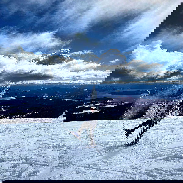 sydney_sweeney image ~ Altpins