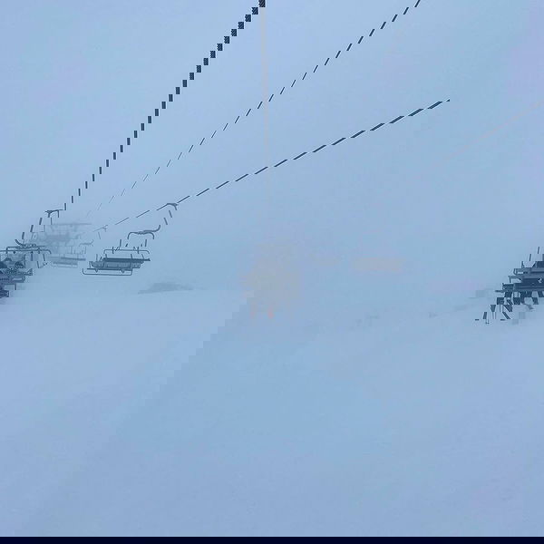 sydney_sweeney image ~ Altpins