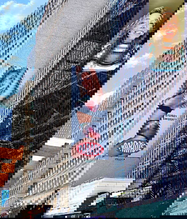 sydney_sweeney image ~ Altpins