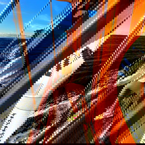 sydney_sweeney image ~ Altpins