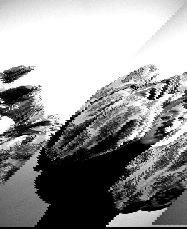 sydney_sweeney image ~ Altpins