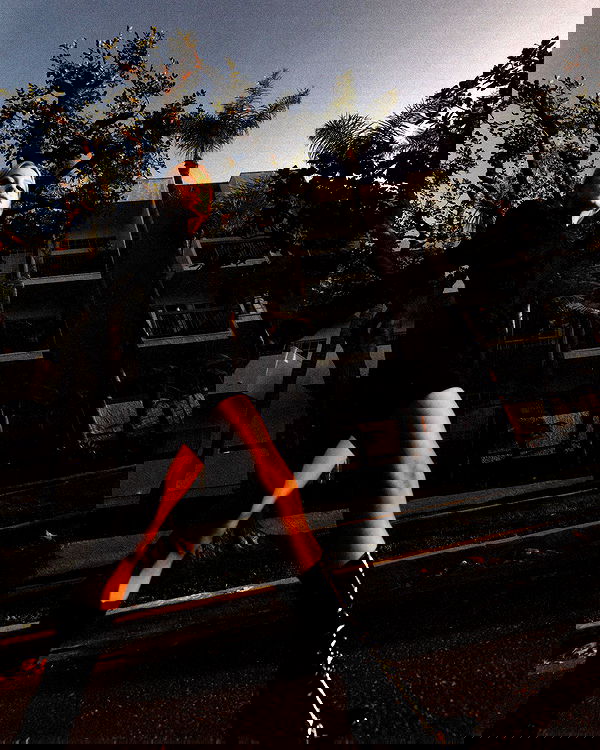 sydney_sweeney image ~ Altpins