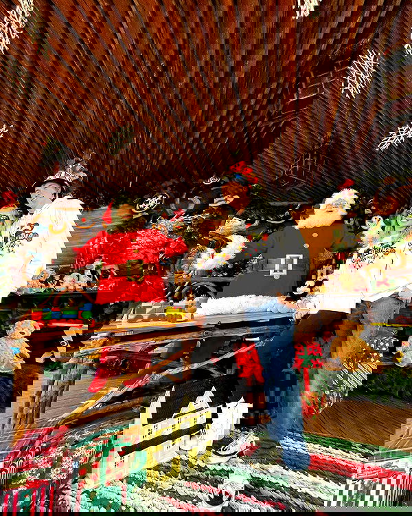 sydney_sweeney image ~ Altpins